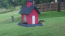 /Birds//Thumbs//found20250610-184720.png 