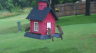 /Birds//Thumbs//found20250611-095058.png 