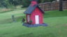 /Birds//Thumbs//found20250611-122621.png 