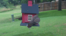 /Birds//Thumbs//found20250611-150011.png 