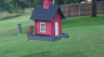 /Birds//Thumbs//found20250611-183022.png 