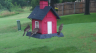 /Birds//Thumbs//found20250612-073019.png 