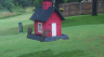 /Birds//Thumbs//found20250612-073530.png 