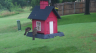 /Birds//Thumbs//found20250612-073630.png 