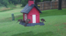 /Birds//Thumbs//found20250612-073733.png 