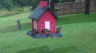 /Birds//Thumbs//found20250612-080039.png 