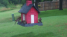 /Birds//Thumbs//found20250612-080116.png 