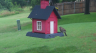 /Birds//Thumbs//found20250612-081453.png 