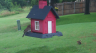 /Birds//Thumbs//found20250612-081616.png 
