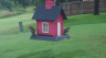 /Birds//Thumbs//found20250612-101238.png 