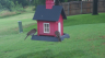 /Birds//Thumbs//found20250612-101631.png 