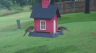 /Birds//Thumbs//found20250612-101649.png 