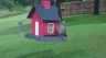 /Birds//Thumbs//found20250612-104552.png 
