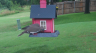 /Birds//Thumbs//found20250612-104611.png 