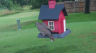/Birds//Thumbs//found20250612-104703.png 