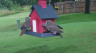 /Birds//Thumbs//found20250612-104734.png 