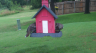 /Birds//Thumbs//found20250612-104806.png 