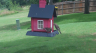 /Birds//Thumbs//found20250612-134537.png 