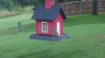 /Birds//Thumbs//found20250612-134853.png 