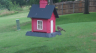 /Birds//Thumbs//found20250612-135018.png 