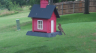 /Birds//Thumbs//found20250612-144901.png 