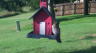 /Birds//Thumbs//found20250612-182207.png 
