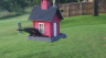 /Birds//Thumbs//found20250612-193505.png 