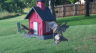 /Birds//Thumbs//found20250613-184105.png 