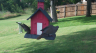 /Birds//Thumbs//found20250614-172846.png 