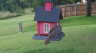 /Birds//Thumbs//found20250614-172955.png 