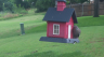 /Birds//Thumbs//found20250615-111042.png 
