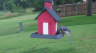 /Birds//Thumbs//found20250615-123222.png 