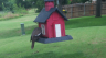 /Birds//Thumbs//found20250615-130659.png 