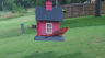 /Birds//Thumbs//found20250615-134147.png 
