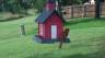 /Birds//Thumbs//found20250615-181052.png 