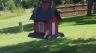 /Birds//Thumbs//found20250616-133002.png 