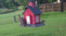 /Birds//Thumbs//found20250616-185534.png 