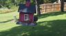/Birds//Thumbs//found20250617-153813.png 