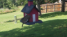/Birds//Thumbs//found20250617-161816.png 