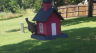 /Birds//Thumbs//found20250617-162200.png 
