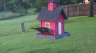 /Birds//Thumbs//found20250617-202523.png 