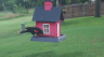 /Birds//Thumbs//found20250618-073706.png 