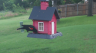 /Birds//Thumbs//found20250618-073724.png 