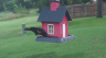 /Birds//Thumbs//found20250618-073729.png 