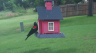 /Birds//Thumbs//found20250618-074802.png 
