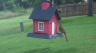 /Birds//Thumbs//found20250618-075018.png 