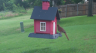 /Birds//Thumbs//found20250618-075027.png 