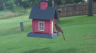 /Birds//Thumbs//found20250618-075044.png 
