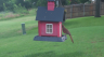 /Birds//Thumbs//found20250618-075049.png 
