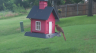 /Birds//Thumbs//found20250618-075112.png 
